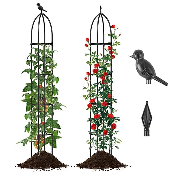 Tall Metal Obelisk Trellis.