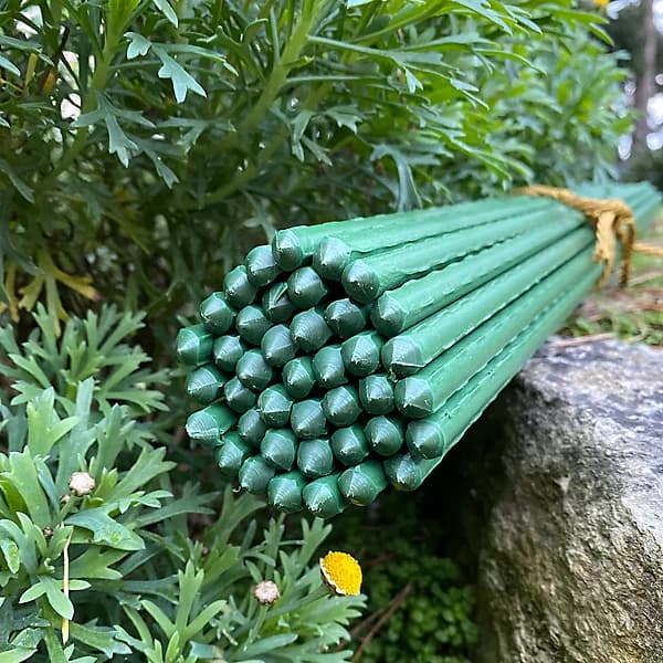 Plant Support Sticks Stakes.
