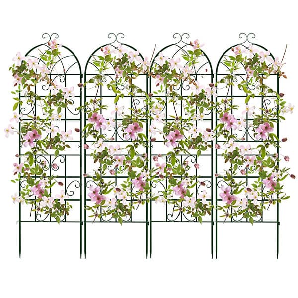 Garden Trellis for Climbing Plants.