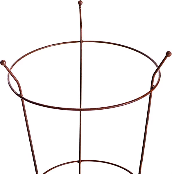 Corten Peony Plant Frame.