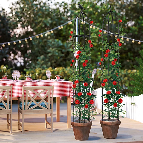 Tall Metal Obelisk Trellis.
