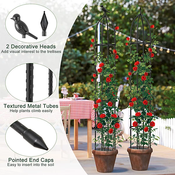 Tall Metal Obelisk Trellis.