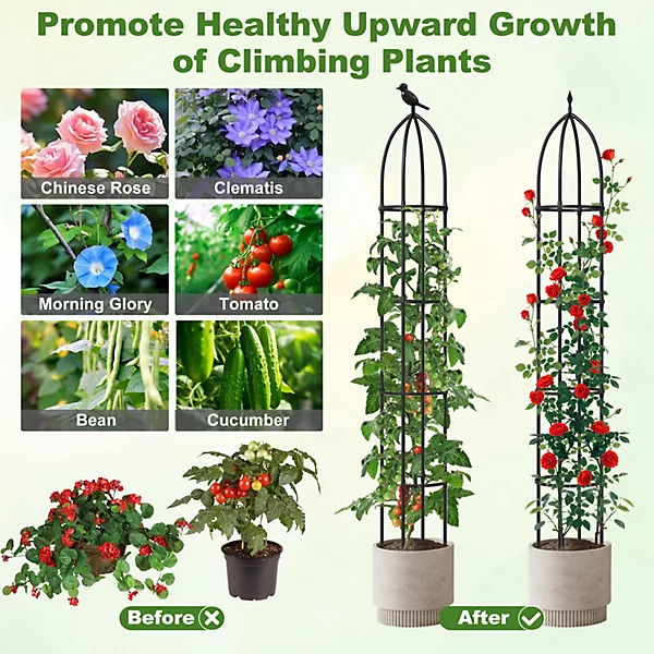 Tall Metal Obelisk Trellis.