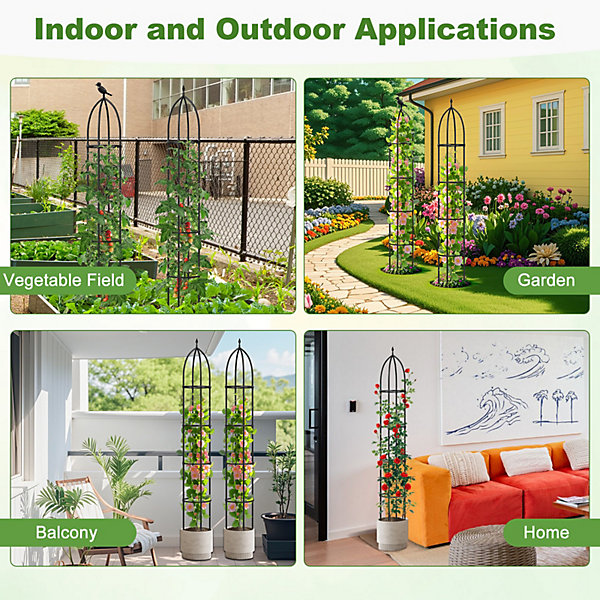 Tall Metal Obelisk Trellis.