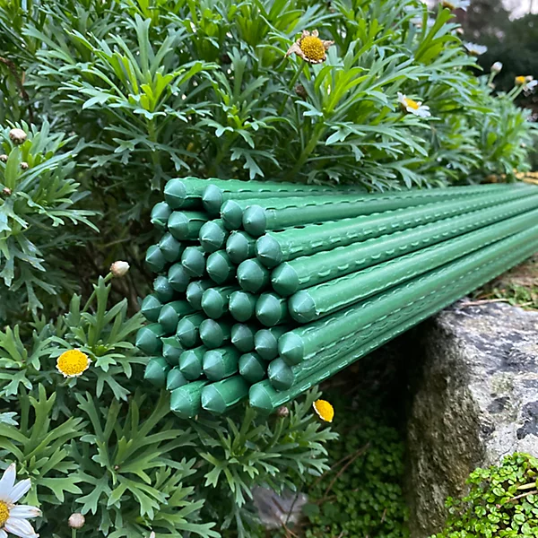 Plant Support Sticks Stakes.