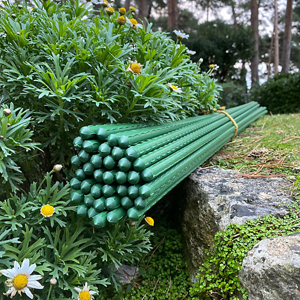 Plant Support Sticks Stakes.