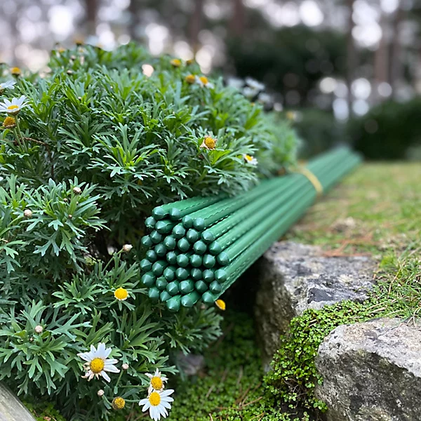 Plant Support Sticks Stakes.