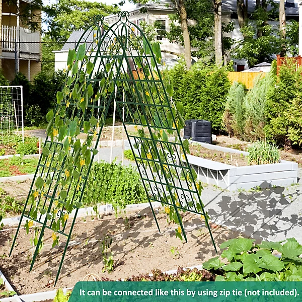 Garden Trellis for Climbing Plants.