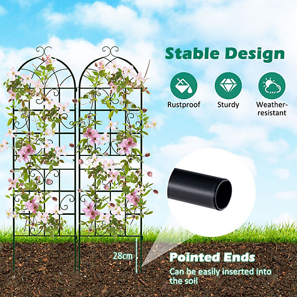 Garden Trellis for Climbing Plants.