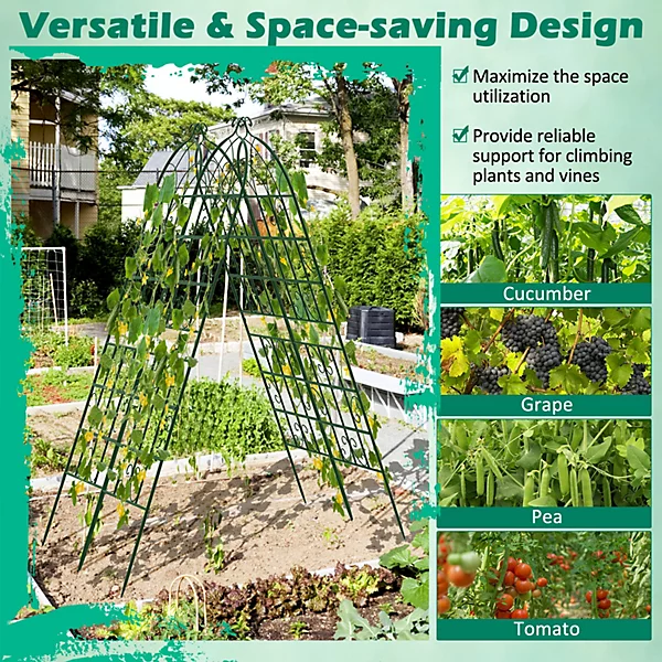 Garden Trellis for Climbing Plants.