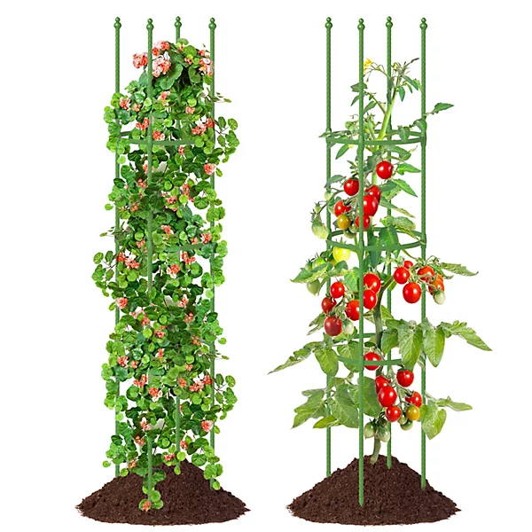 Tomato Plant Support Cage.