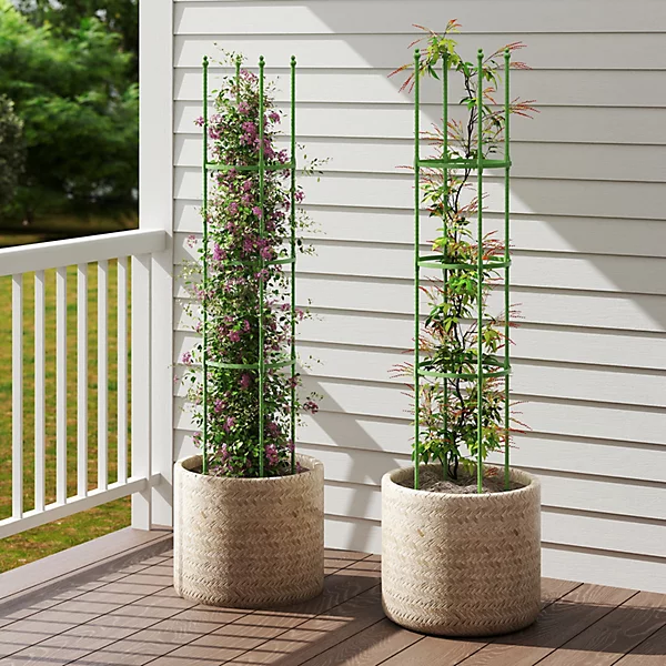 Tomato Plant Support Cage.