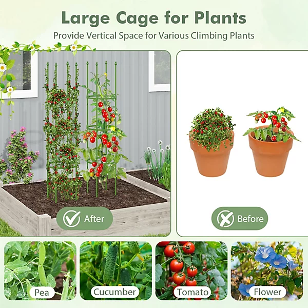 Tomato Plant Support Cage.