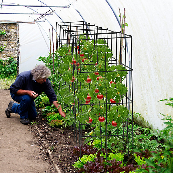 Plant Support Stands.